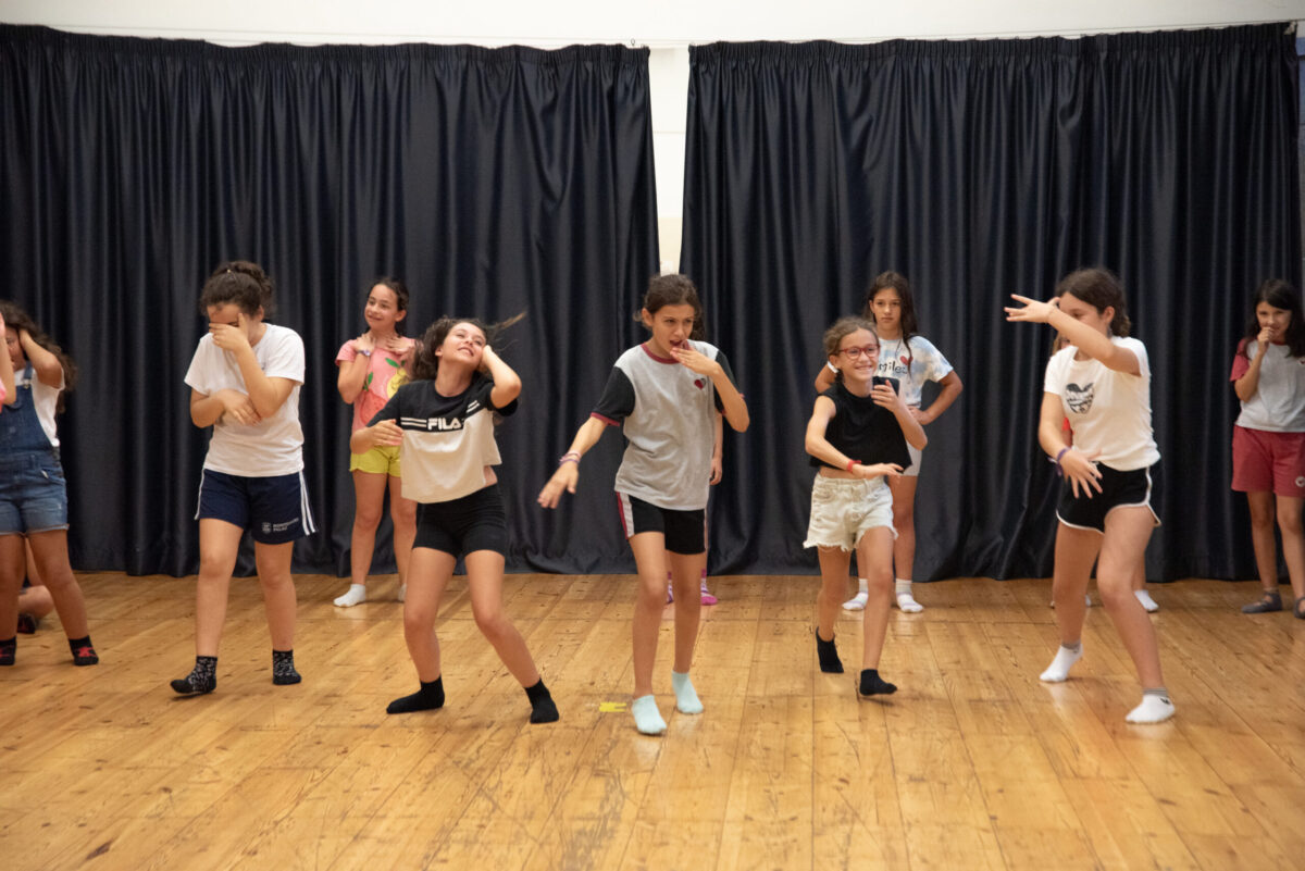 Teatre infantil: Pollastres