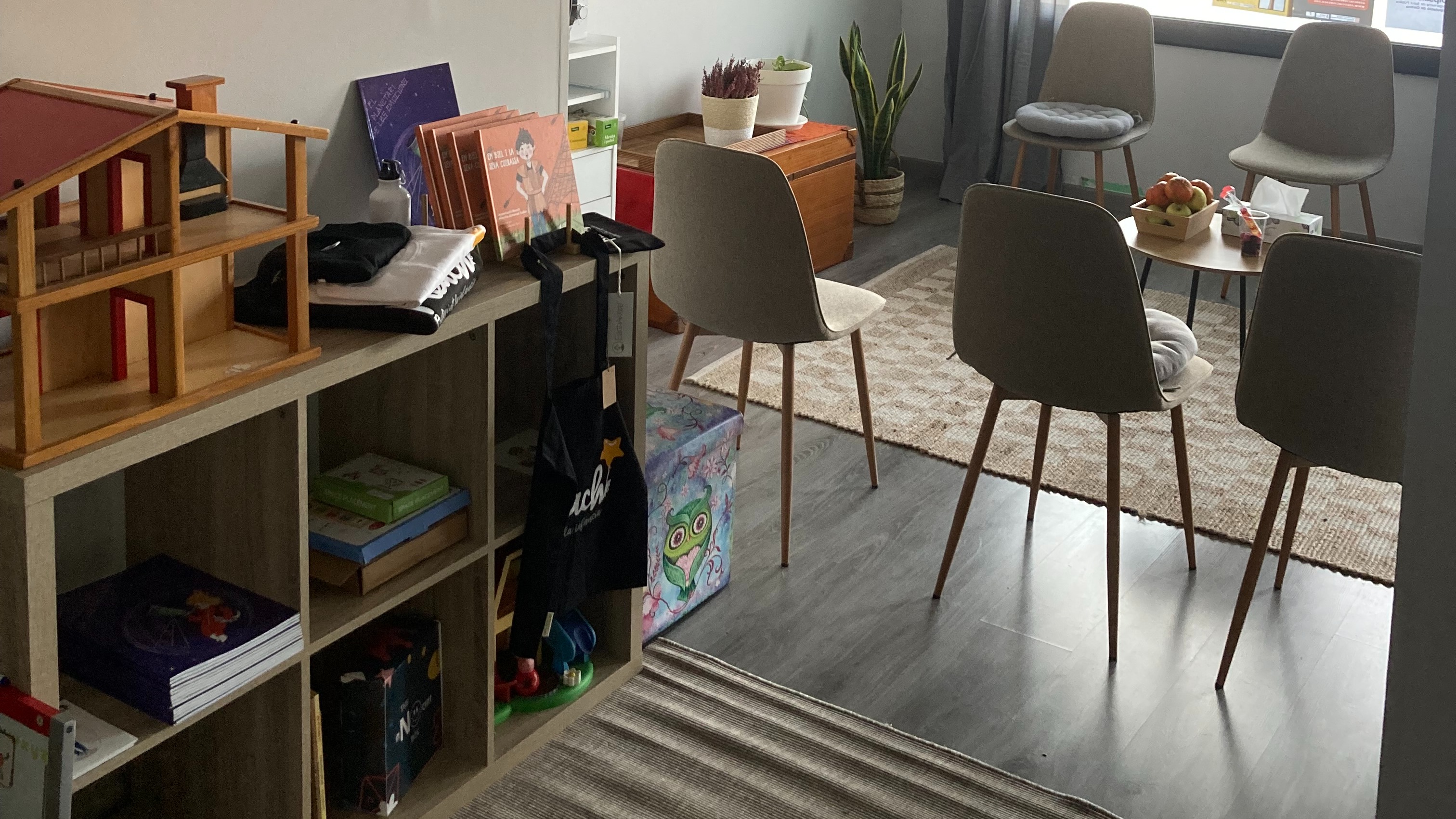 Psicologia i Psicopedagogia Infantil