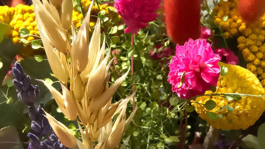 Ram de flors seques